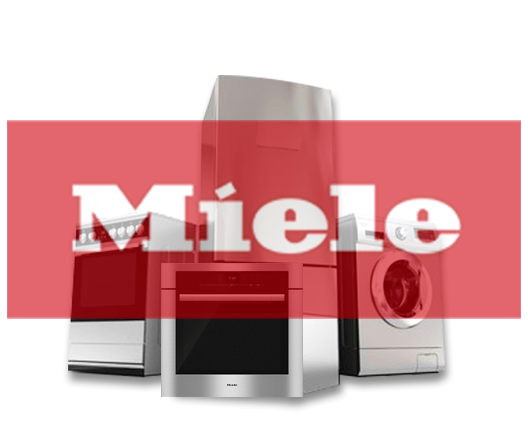 Electrodo Miele